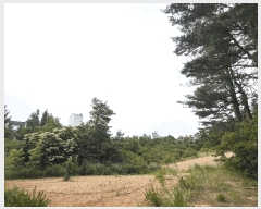  2025Ÿ10268  ʽ е 510-15       (1)