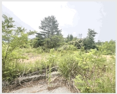  2025Ÿ10268  ʽ е 510-15       (1)