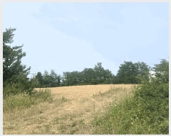  2025Ÿ10268  ʽ е 510-15       (1)