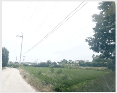  2025Ÿ10268  ʽ е 510-15       (1)