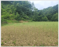  2025Ÿ��10276  �����