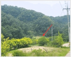  2025Ÿ��10276  �����