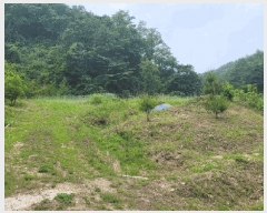  2025Ÿ��10276  �����