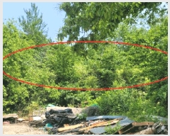  2025Ÿ��10278 ���� ������ �伺�� �о߸� 167      ����(��1)���