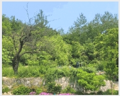  2025Ÿ��10278 ���� ������ �伺�� �о߸� 167      ����(��1)���