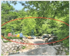  2025Ÿ��10278 ���� ������ �伺�� �о߸� 167      ����(��1)���