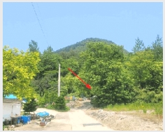  2025Ÿ��10278 ���� ������ �伺�� �о߸� 167      ����(��1)���