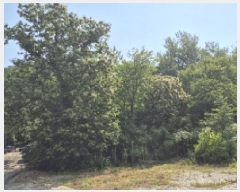  2025Ÿ��10278 ���� ������ �伺�� �о߸� 167      ����(��1)���