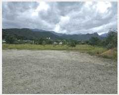  2025Ÿ10288  ʽ е 397-1       (1)