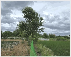  2025Ÿ10288  ʽ е 397-1       (1)