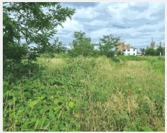  2025Ÿ10288  ʽ е 397-1       (1)