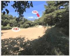  2025Ÿ10298  ʽ е 80-7       (Ӿ)