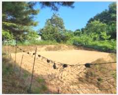  2025Ÿ10298  ʽ е 80-7       (Ӿ)