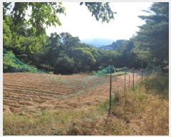  2025Ÿ10298  ʽ е 80-7       (Ӿ)