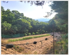  2025Ÿ10298  ʽ е 80-7       (Ӿ)