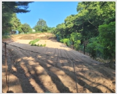  2025Ÿ10298  ʽ е 80-7       (Ӿ)