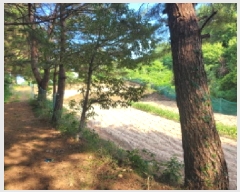  2025Ÿ10298  ʽ е 80-7       (Ӿ)