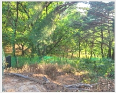  2025Ÿ10298  ʽ е 80-7       (Ӿ)