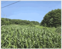  2025Ÿ��10300  �����