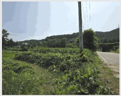  2025Ÿ��10300  �����