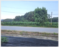  2025Ÿ��10300  �����