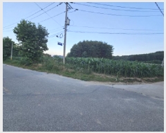  2025Ÿ��10300  �����