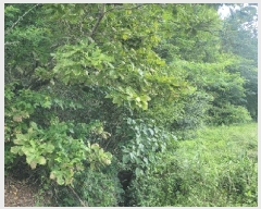  2025Ÿ��10302  ����