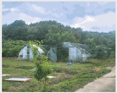  2025Ÿ��10302  ����