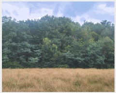  2025Ÿ��10302  ����