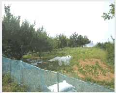  2025Ÿ��10304 ���� ���ʽ� ������ 597       ����(��1)���