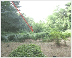  2025Ÿ��10304 ���� ���ʽ� ������ 597       ����(��1)���