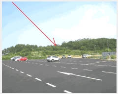  2025Ÿ��10304 ���� ���ʽ� ������ 597       ����(��1)���