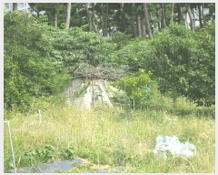  2025Ÿ��10304 ���� ���ʽ� ������ 597       ����(��1)���