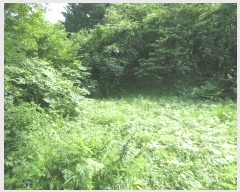  2025Ÿ��10304 ���� ���ʽ� ������ 597       ����(��1)���