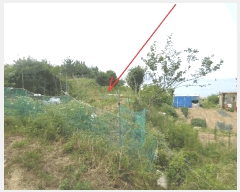  2025Ÿ��10304 ���� ���ʽ� ������ 597       ����(��1)���