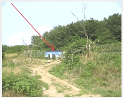  2025Ÿ��10304 ���� ���ʽ� ������ 597       ����(��1)���