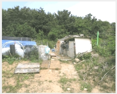  2025Ÿ��10304 ���� ���ʽ� ������ 597       ����(��1)���