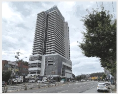  2025Ÿ��10310 ���� ���ʽ� ���絿 1493-7 �������׶� 14�� 1406ȣ    �ܵ�(ȣ��)���