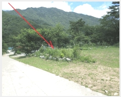  2025Ÿ��10312 ���� ��籺 ���� ������ ��40-3      ����(��1)���