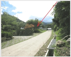  2025Ÿ��10312 ���� ��籺 ���� ������ ��40-3      ����(��1)���