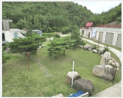  2025Ÿ��10314  �ٸ��ü����