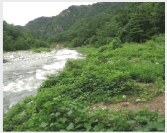  2025Ÿ��10330  ����