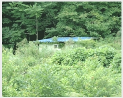  2025Ÿ��10330  ����