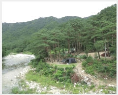  2025Ÿ��10330  ����