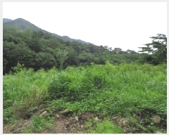  2025Ÿ��10330  ����