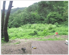  2025Ÿ��10330  ����