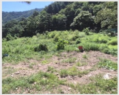  2025Ÿ��10330  ����