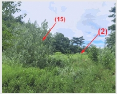  2025Ÿ��10332  �����