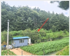  2025Ÿ��10332  �����