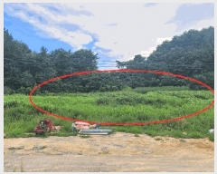  2025Ÿ��10332  �����